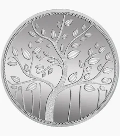 Silver Coin Collection